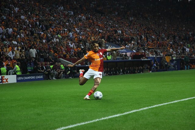 避免了与曼 避免了与曼