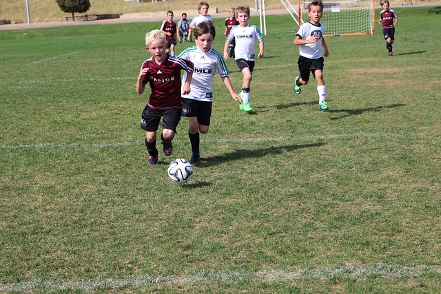 经历了类似 经历了类似