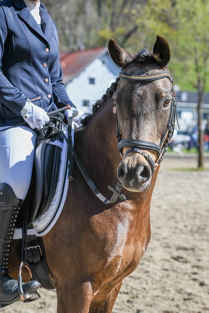 这些创新的 这些创新的