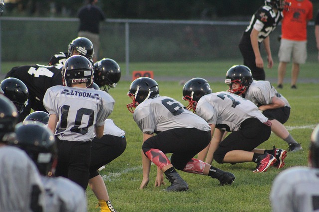 日益成为城 日益成为城