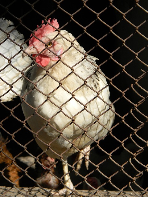 建计划带来 建计划带来