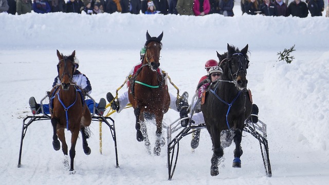 的信心与状 的信心与状