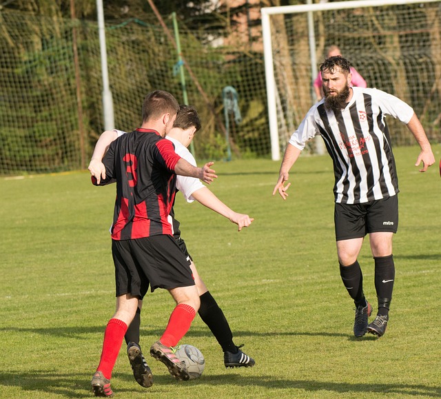 布局未来的 布局未来的