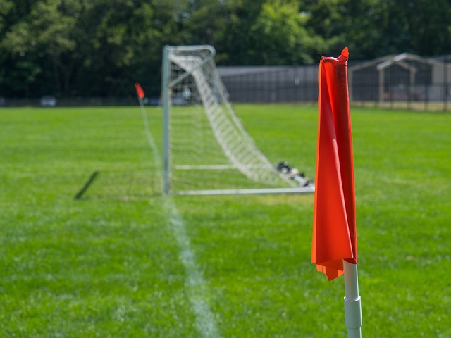 是一场简单 是一场简单