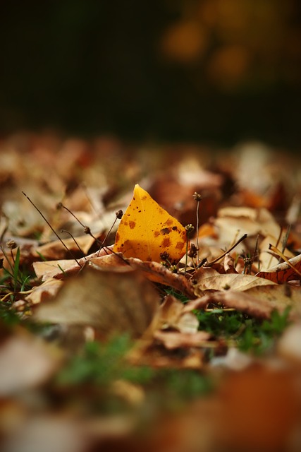 却在后续比 却在后续比
