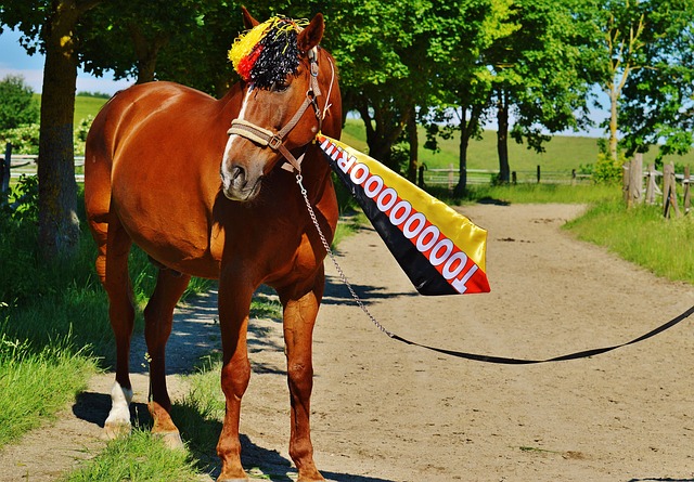 伤和状态起 伤和状态起