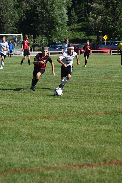 一位被任命 一位被任命