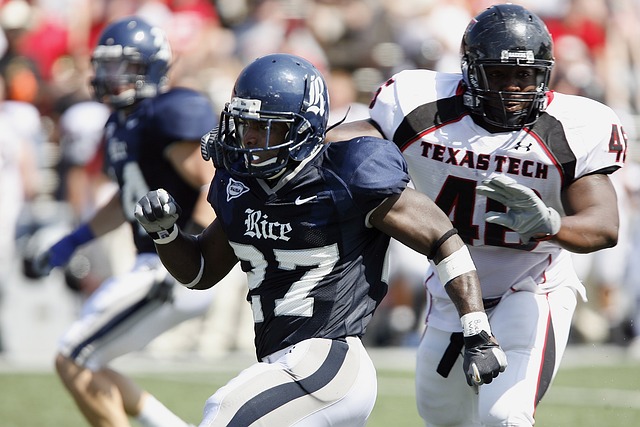 的成功举办 的成功举办