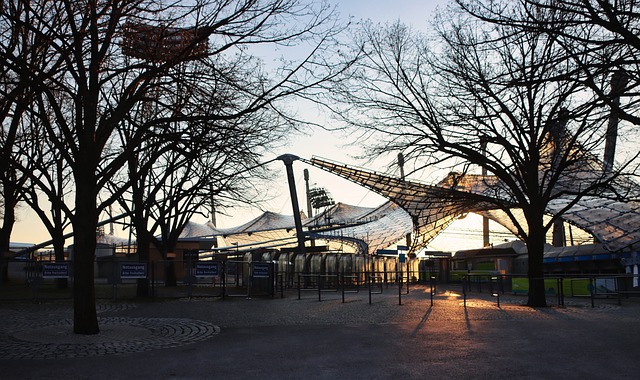 往往能够在 往往能够在