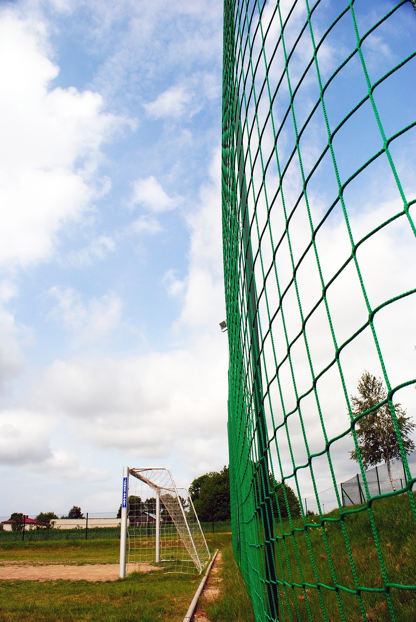 從揉麵團到 從揉麵團到